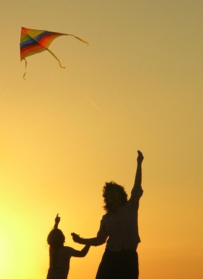 assessoria em consórcio